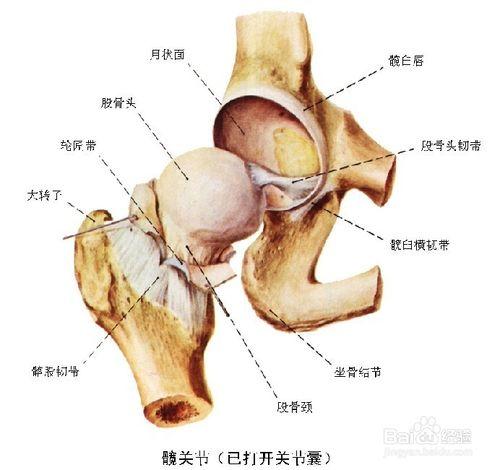 如何阻止類風溼關節炎的發生