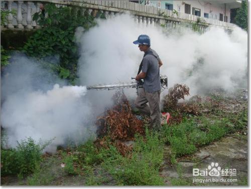 登革熱病毒症狀有哪些?怎樣預防登革熱病毒?