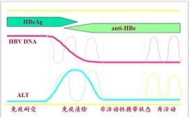 乙肝“小三陽”會傳染嗎