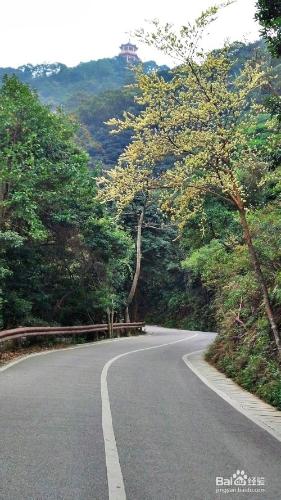 到深圳梧桐山登山過程分享