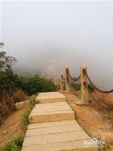 【深圳免費景點篇】深圳大梧桐山遊玩攻略