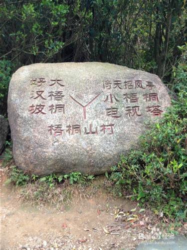 【深圳免費景點篇】深圳大梧桐山遊玩攻略