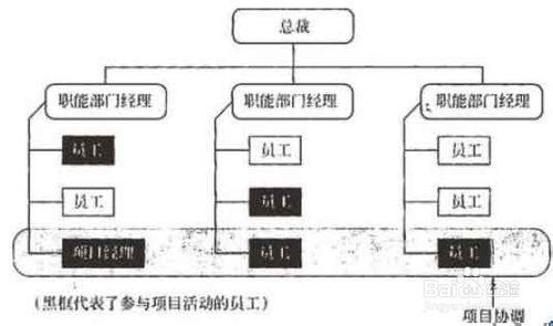 系統集成項目管理工程師考試---項目組織分類