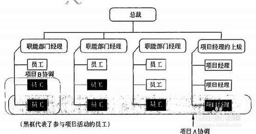 系統集成項目管理工程師考試---項目組織分類