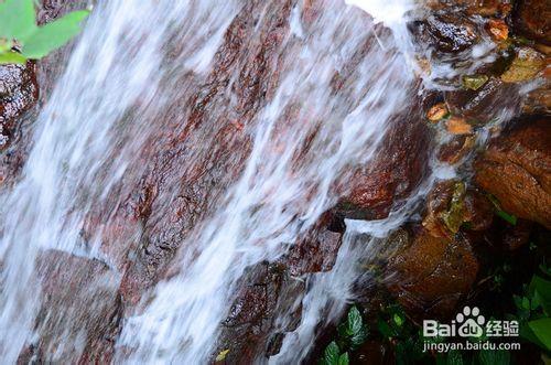 【深圳免費景點篇】深圳大梧桐山遊玩攻略