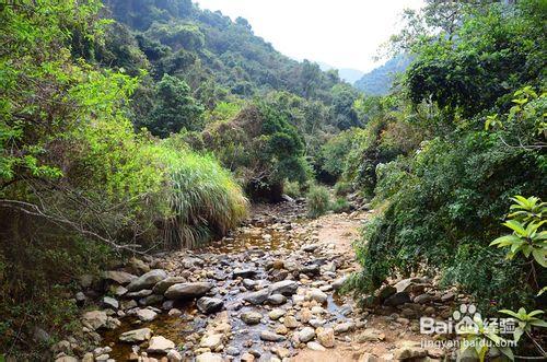 【深圳免費景點篇】深圳大梧桐山遊玩攻略