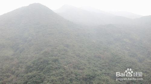 到深圳梧桐山登山過程分享