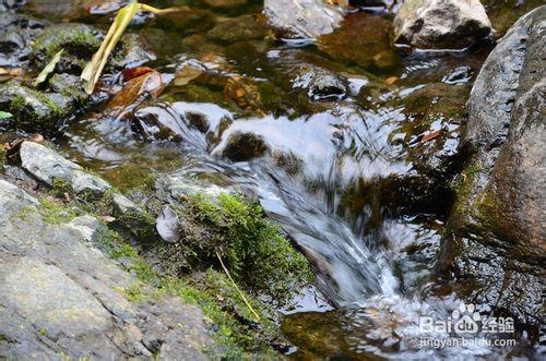 【深圳免費景點篇】深圳大梧桐山遊玩攻略