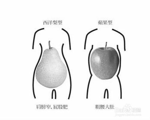 在健身房用跑步機快走和跑步那個可以瘦腿