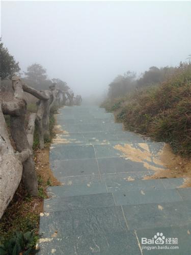 【深圳免費景點篇】深圳大梧桐山遊玩攻略