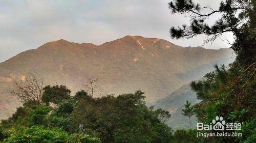 到深圳梧桐山登山過程分享