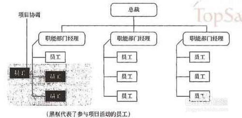 系統集成項目管理工程師考試---項目組織分類