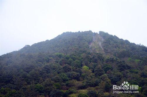 【深圳免費景點篇】深圳大梧桐山遊玩攻略