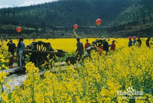 雲南昆明安寧市旅遊景點攻略