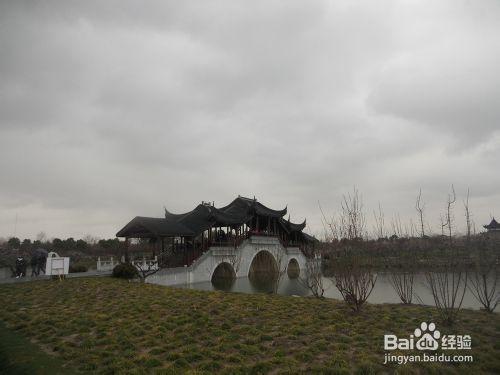 上海公園行：[9]海灣森林公園