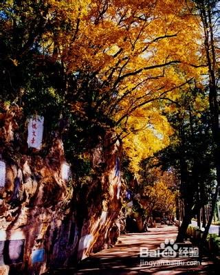 雲南昆明安寧市旅遊景點攻略