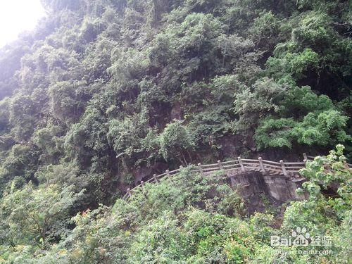 銀瓶山森林公園（東莞內）