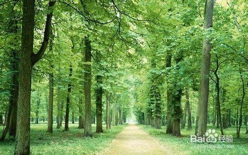 日照森林公園附近住宿經驗