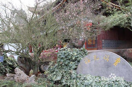 雲南昆明安寧市旅遊景點攻略