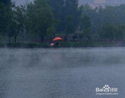 不要浪費熱天的小雨