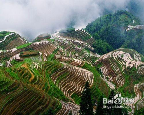 2012十一去哪旅遊好，桂林旅遊攻略