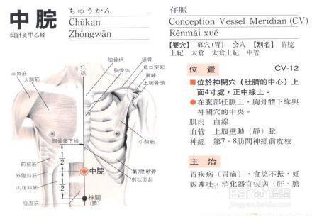 減肥之瘦肚子瘦腹——男女都適用