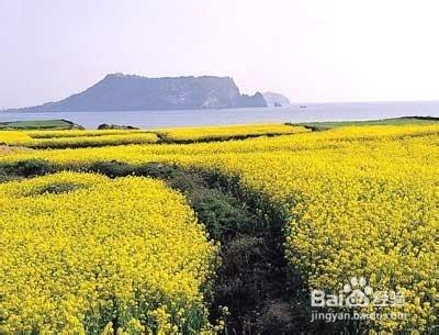 韓國濟州島旅遊景點有哪些？