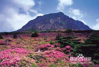 韓國濟州島旅遊景點有哪些？