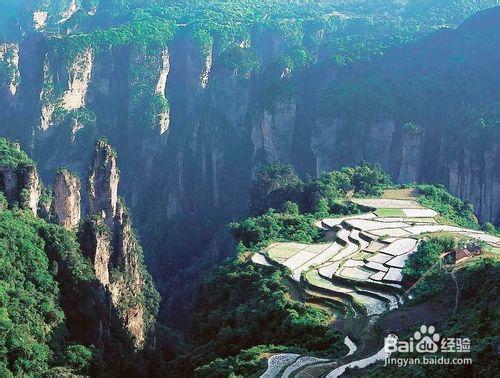 重慶到張家界自助遊旅遊攻略