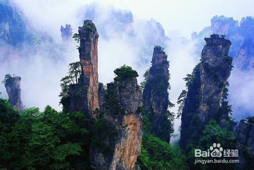 重慶到張家界自助遊旅遊攻略