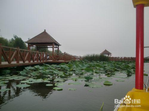 河南淮陽旅遊攻略