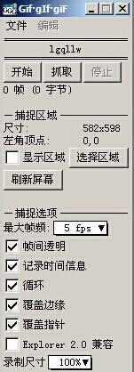 win2003PE屏幕截取GIF工具教程