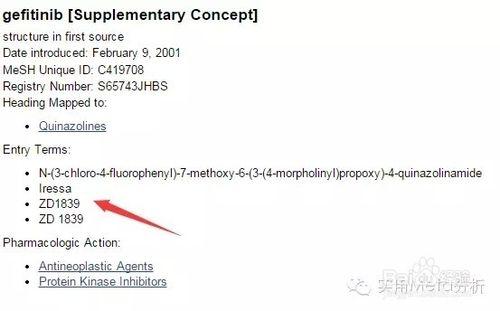 細說Meta分析之文獻檢索1：PubMed