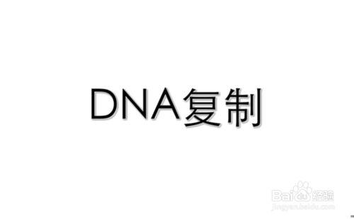 高中生物必修2學習指導