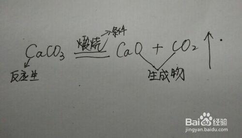 利用化學方程式進行簡單計算：[1]初中化學