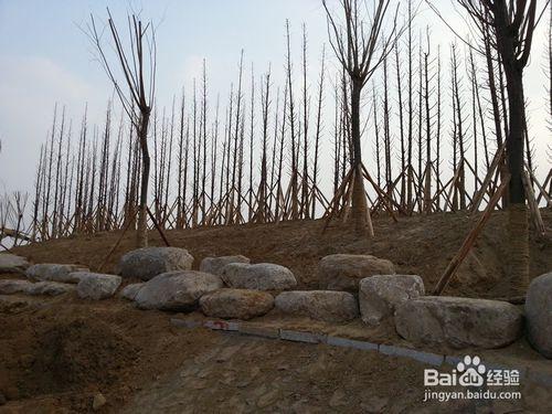 公園建設施工介紹（陸續更新）——篇章八