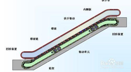 滾梯的安全區域 扶梯的安全常識