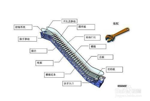 滾梯的安全區域 扶梯的安全常識