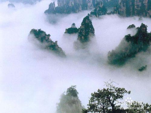 雲夢山漫遊攻略