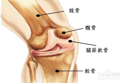 關節受損後的日常保健該怎麼做？