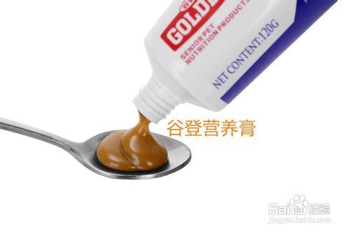 剛滿月的小狗吃什麼？