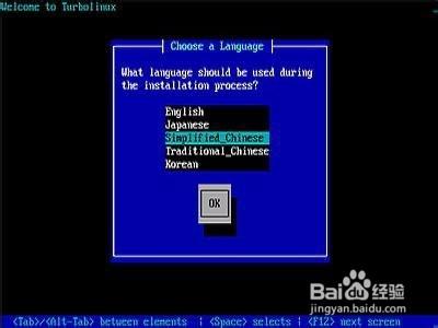 Turbolinux-7-Server安裝教程