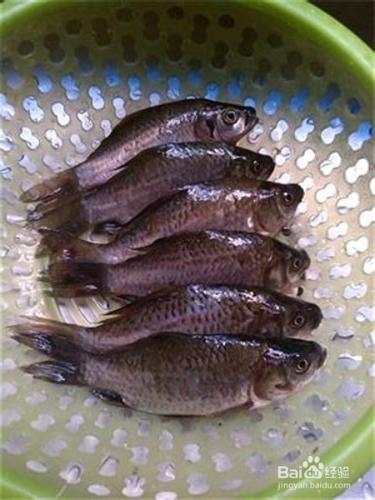 秋季怎樣清蒸魚更有營養味道更美