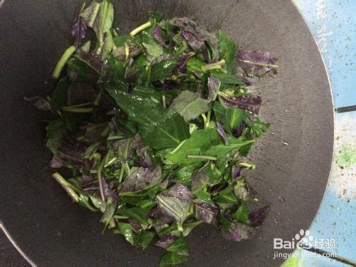 清熱解毒——蒜蓉紫背天葵的做法