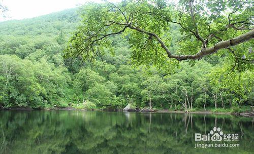 鏡泊湖長白山旅遊攻略