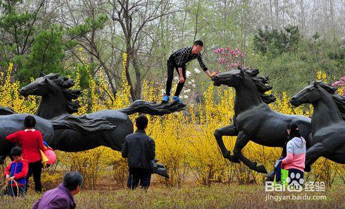 旅遊應注意哪些不文明行為以免被拉黑名單