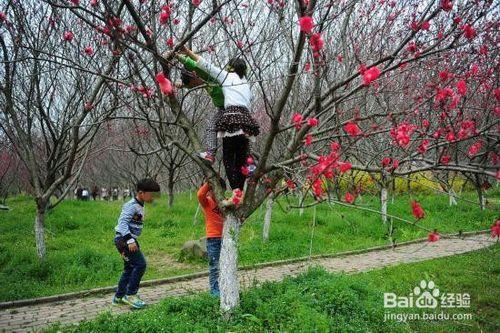 旅遊應注意哪些不文明行為以免被拉黑名單