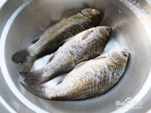 營養、美味奶白鯽魚湯的做法—鯽魚湯