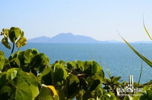 盪漾在碧海之上的那片寧靜——香港長洲島之行