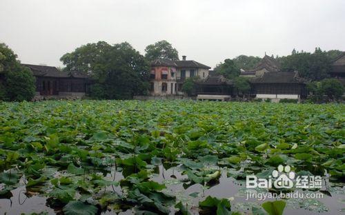 南潯古鎮會員日攻略